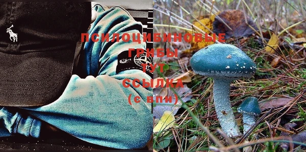 мяу мяу мука Михайловск