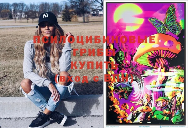 a pvp Михайловка
