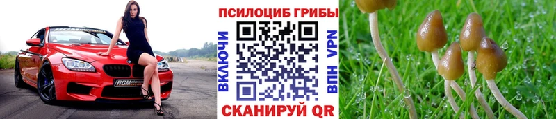 Купить  Семилуки  Псилоцибиновые грибы GOLDEN TEACHER 